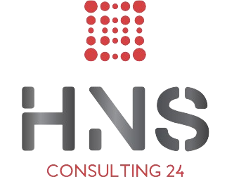 HNS CONSULTING 24